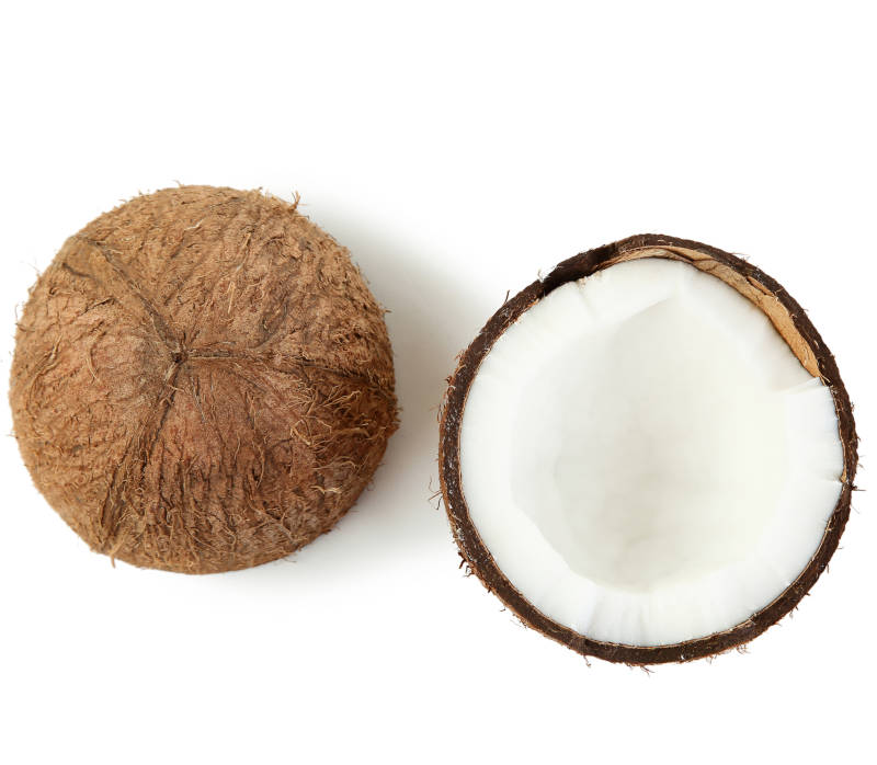 Coconut